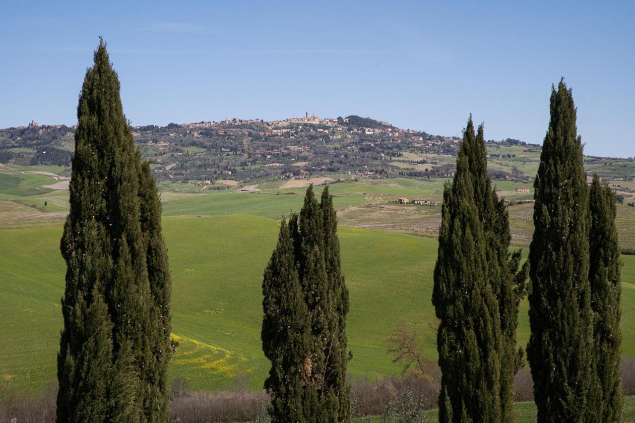 Toscana Mio, Stunning View & 14min Volterra Appartamento *